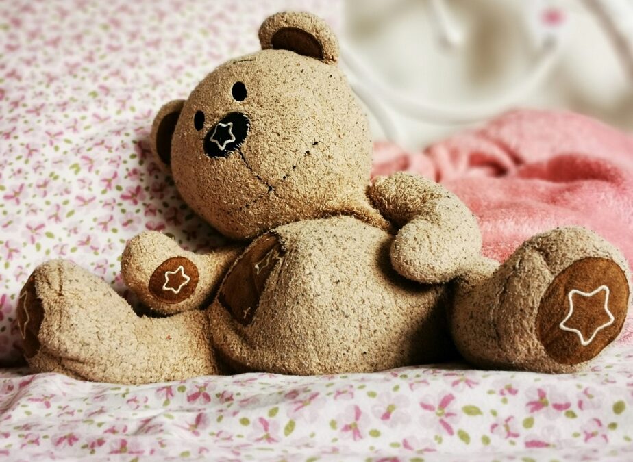 La période de familiarisation : Accueillir et accompagner un nouvel enfant et sa famille