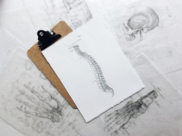 Gestes et postures : Prévenir les troubles musculo-squelettiques